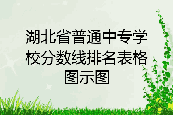 湖北省普通中专学校分数线排名表格图示图