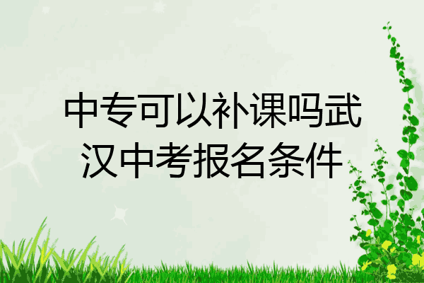 中专可以补课吗武汉中考报名条件