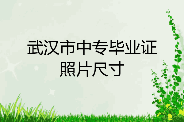 武汉市中专毕业证照片尺寸