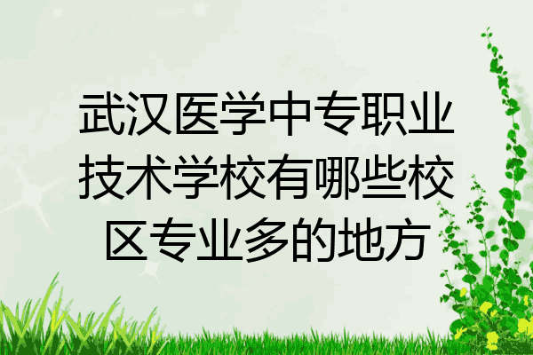 武汉医学中专职业技术学校有哪些校区专业多的地方