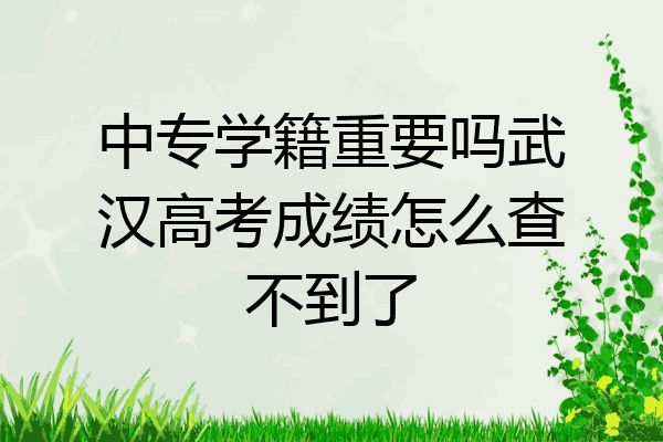 中专学籍重要吗武汉高考成绩怎么查不到了