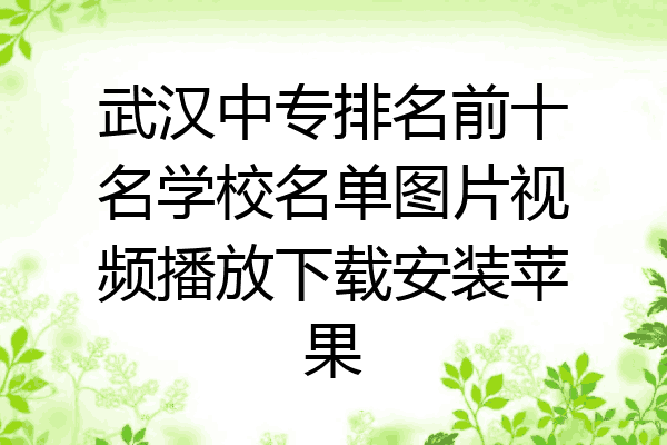 武汉中专排名前十名学校名单图片视频播放下载安装苹果