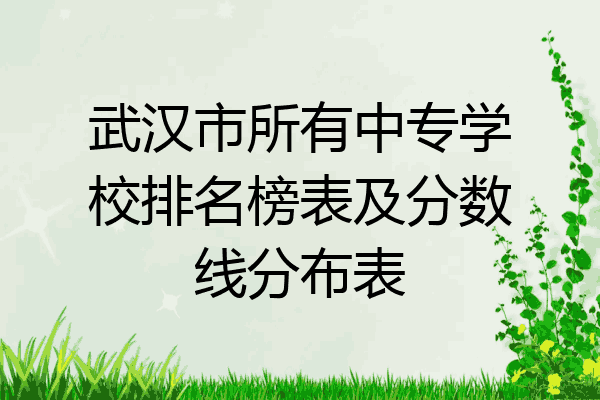 武汉市所有中专学校排名榜表及分数线分布表