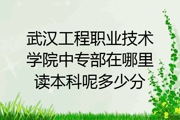武汉工程职业技术学院中专部在哪里读本科呢多少分