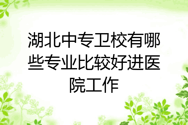湖北中专卫校有哪些专业比较好进医院工作