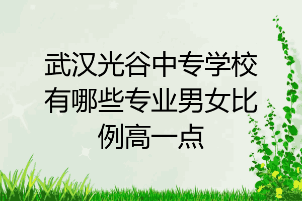 武汉光谷中专学校有哪些专业男女比例高一点