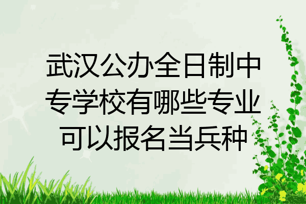 武汉公办全日制中专学校有哪些专业可以报名当兵种