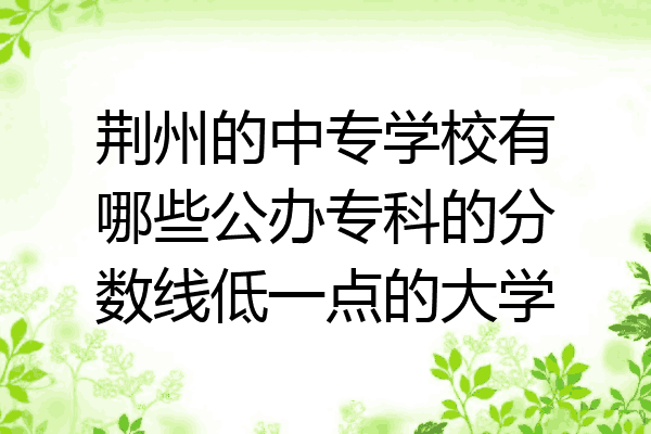 荆州的中专学校有哪些公办专科的分数线低一点的大学