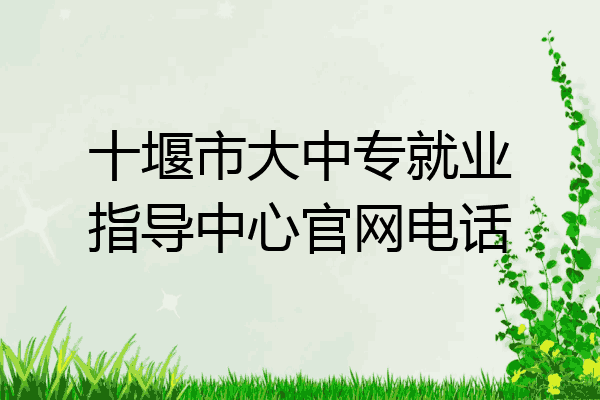 十堰市大中专就业指导中心官网电话
