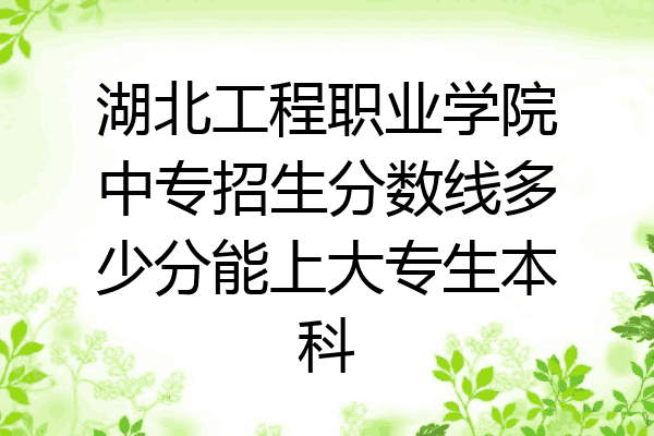 湖北工程职业学院中专招生分数线多少分能上大专生本科