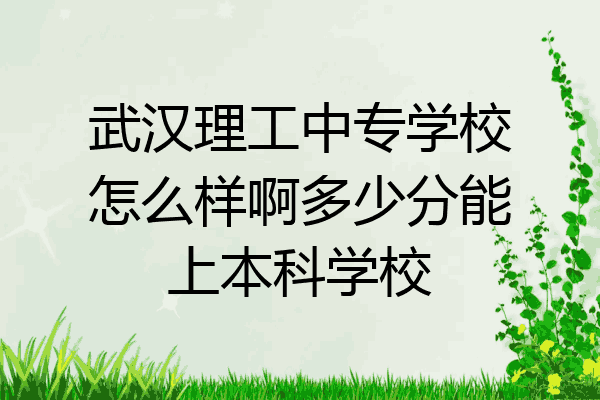 武汉理工中专学校怎么样啊多少分能上本科学校