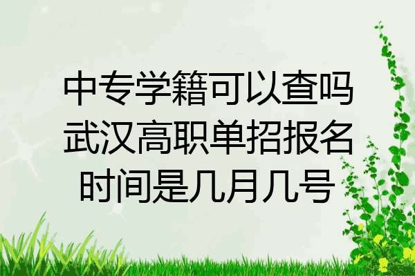 中专学籍可以查吗武汉高职单招报名时间是几月几号