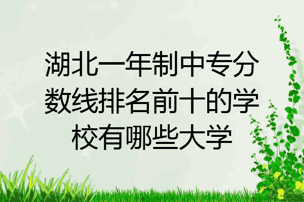 湖北一年制中专分数线排名前十的学校有哪些大学