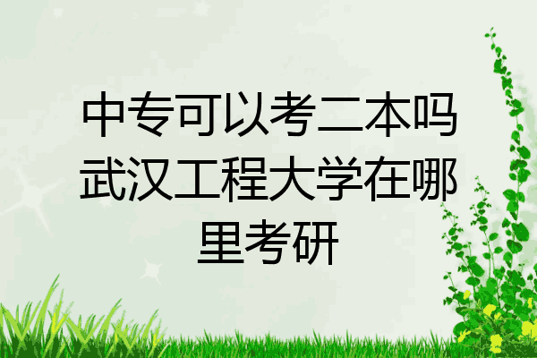 中专可以考二本吗武汉工程大学在哪里考研