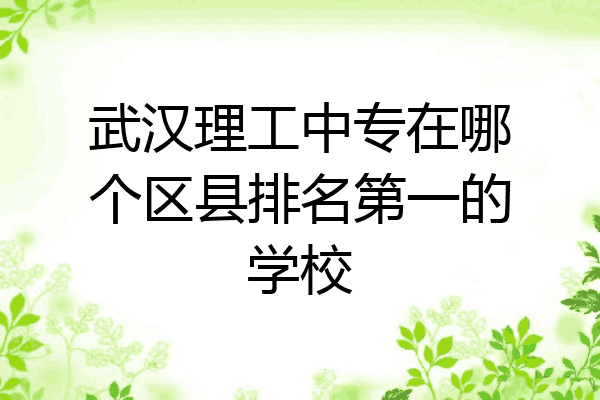 武汉理工中专在哪个区县排名第一的学校