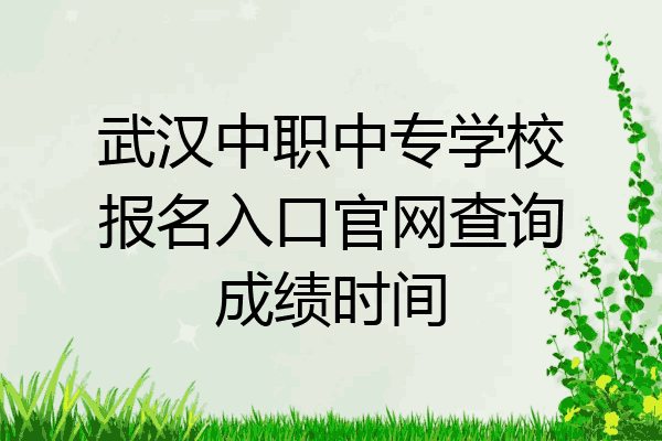 武汉中职中专学校报名入口官网查询成绩时间