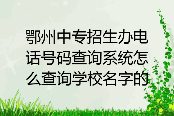 鄂州中专招生办电话号码查询系统怎么查询学校名字的