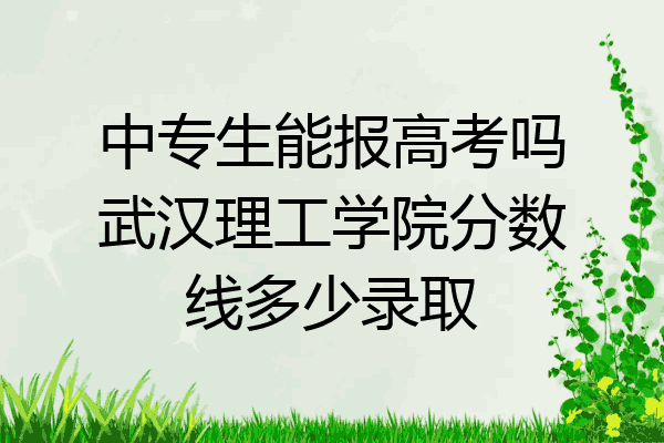 中专生能报高考吗武汉理工学院分数线多少录取