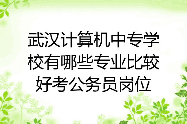 武汉计算机中专学校有哪些专业比较好考公务员岗位
