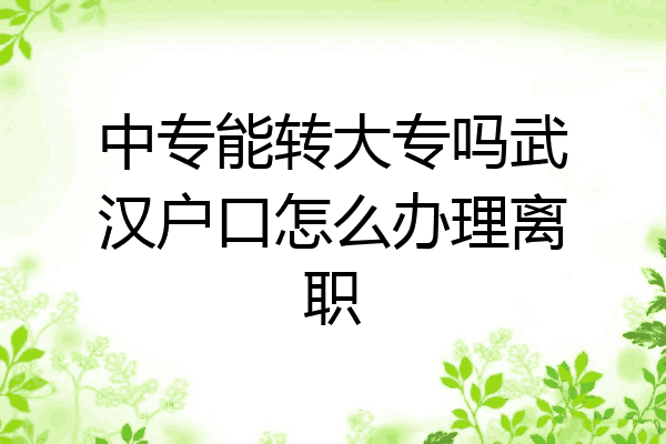 中专能转大专吗武汉户口怎么办理离职