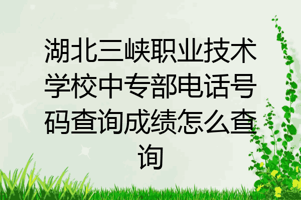 湖北三峡职业技术学校中专部电话号码查询成绩怎么查询