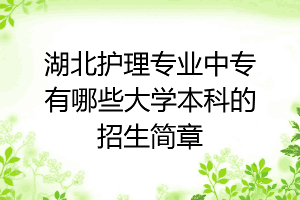 湖北护理专业中专有哪些大学本科的招生简章