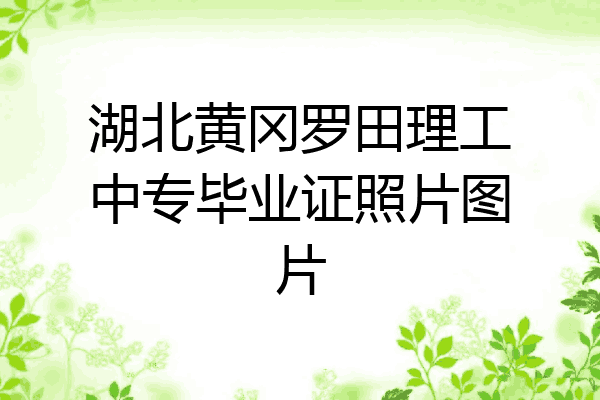 湖北黄冈罗田理工中专毕业证照片图片
