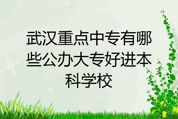武汉重点中专有哪些公办大专好进本科学校