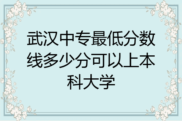 武汉中专最低分数线多少分可以上本科大学