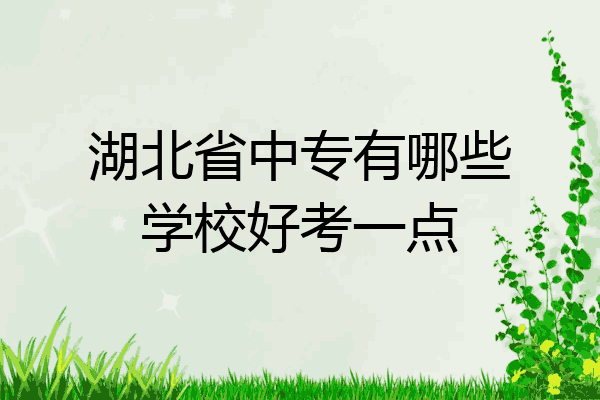 湖北省中专有哪些学校好考一点