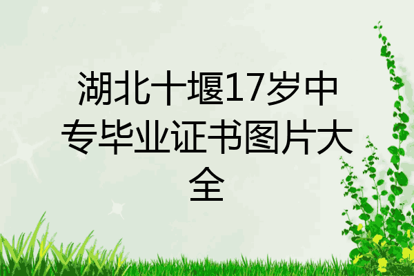 湖北十堰17岁中专毕业证书图片大全
