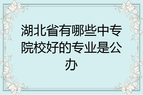 湖北省有哪些中专院校好的专业是公办