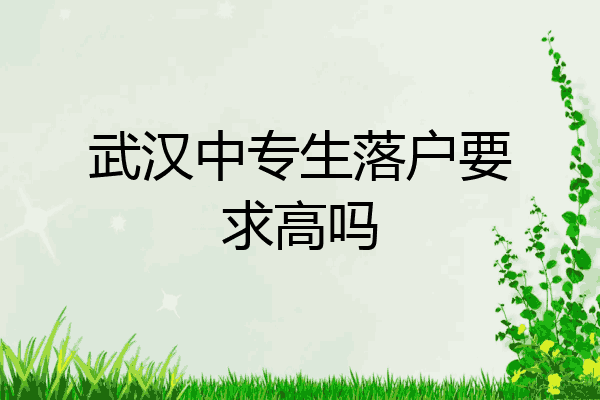 武汉中专生落户要求高吗