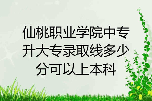 仙桃职业学院中专升大专录取线多少分可以上本科