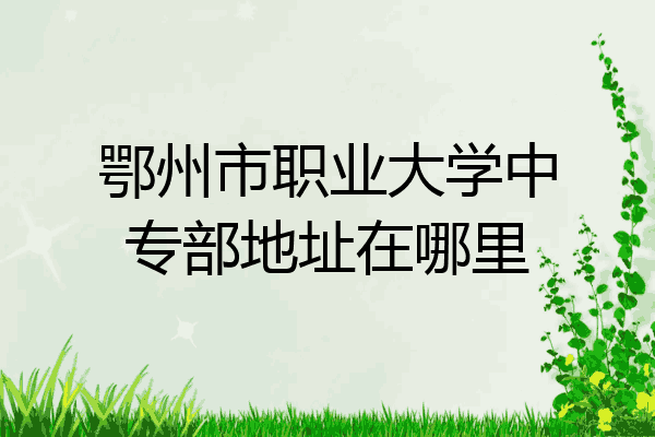 鄂州市职业大学中专部地址在哪里