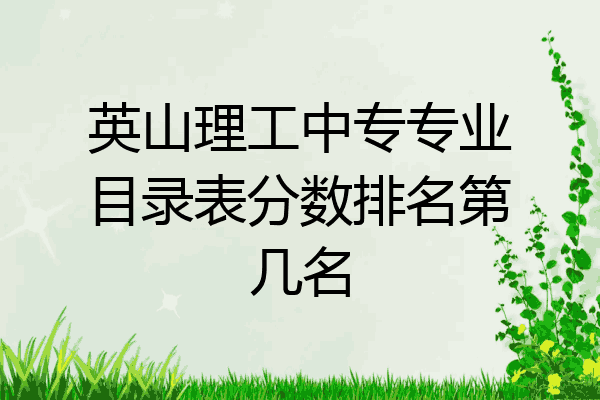 英山理工中专专业目录表分数排名第几名