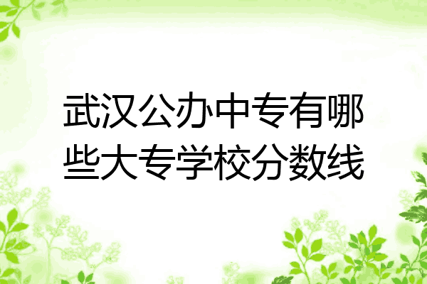 武汉公办中专有哪些大专学校分数线