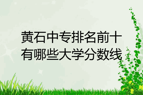 黄石中专排名前十有哪些大学分数线