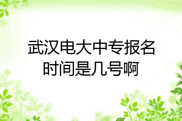 武汉电大中专报名时间是几号啊
