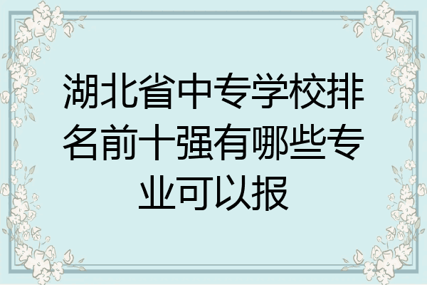 湖北省中专学校排名前十强有哪些专业可以报