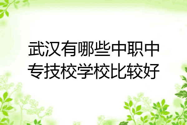 武汉有哪些中职中专技校学校比较好