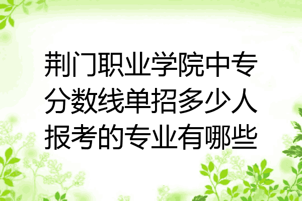 荆门职业学院中专分数线单招多少人报考的专业有哪些
