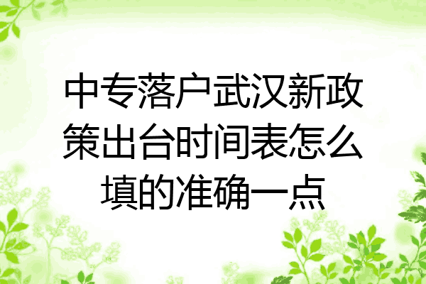 中专落户武汉新政策出台时间表怎么填的准确一点