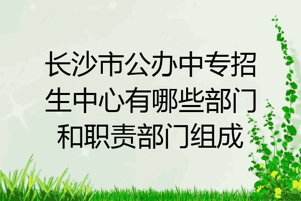 长沙市公办中专招生中心有哪些部门和职责部门组成