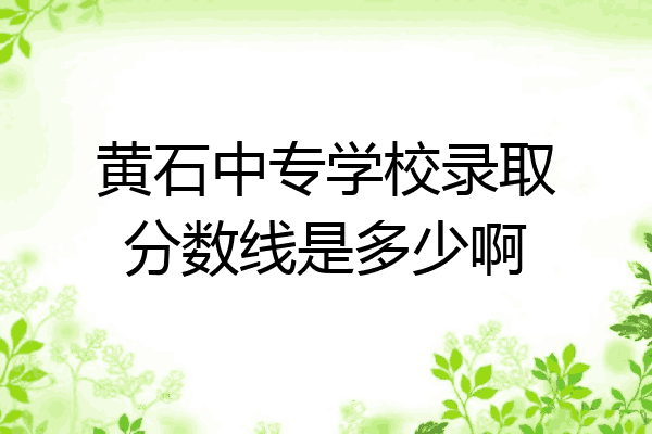 黄石中专学校录取分数线是多少啊