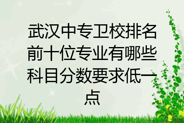 武汉中专卫校排名前十位专业有哪些科目分数要求低一点