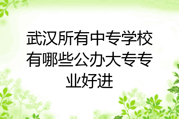 武汉所有中专学校有哪些公办大专专业好进