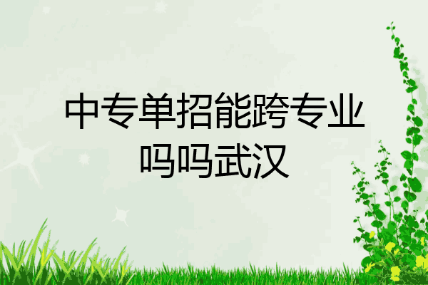 中专单招能跨专业吗吗武汉
