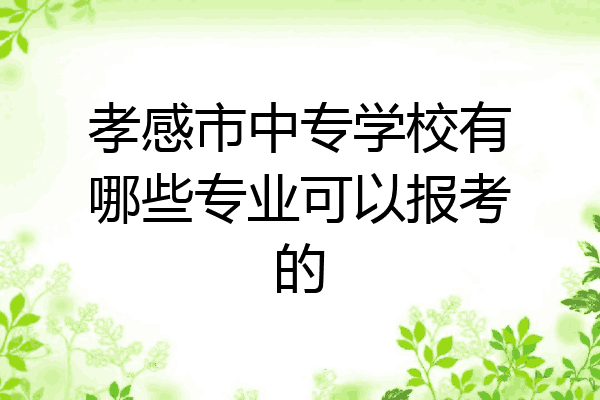 孝感市中专学校有哪些专业可以报考的
