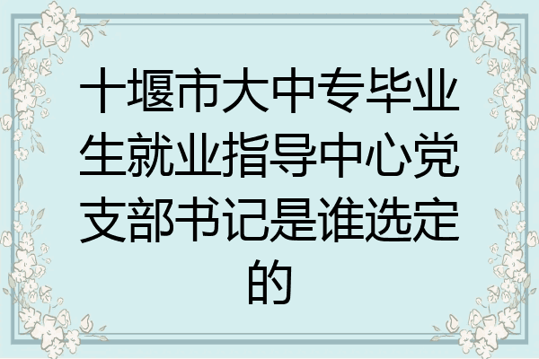 十堰市大中专毕业生就业指导中心党支部书记是谁选定的